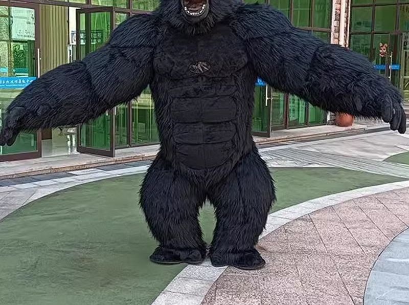 Real Life Inflatable Gorilla C - đánh giá và giá Anime Cosplay Real Life