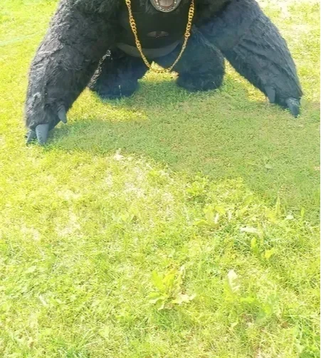 Christmas Real Life Inflatable - đánh giá và giá Anime Cosplay Real Life