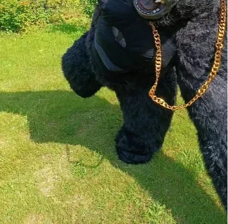 Christmas Real Life Inflatable - đánh giá và giá Anime Cosplay Real Life
