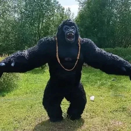 Christmas Real Life Inflatable - đánh giá và giá Anime Cosplay Real Life