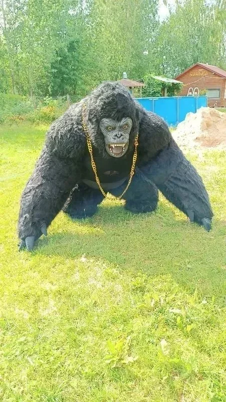 Christmas Real Life Inflatable - đánh giá và giá Anime Cosplay Real Life