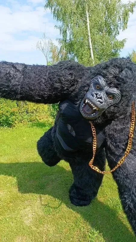 Christmas Real Life Inflatable - đánh giá và giá Anime Cosplay Real Life
