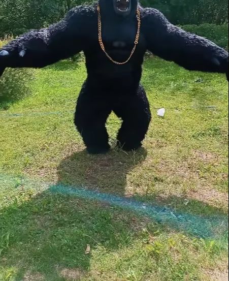 Real Life Inflatable Gorilla C - đánh giá và giá Anime Cosplay Real Life