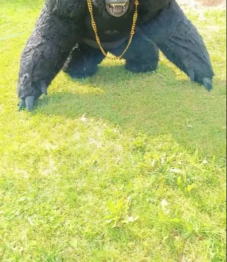 Real Life Inflatable Gorilla C - đánh giá và giá Anime Cosplay Real Life