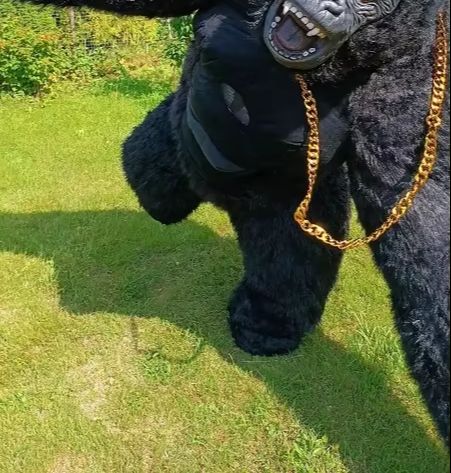 Real Life Inflatable Gorilla C - đánh giá và giá Anime Cosplay Real Life