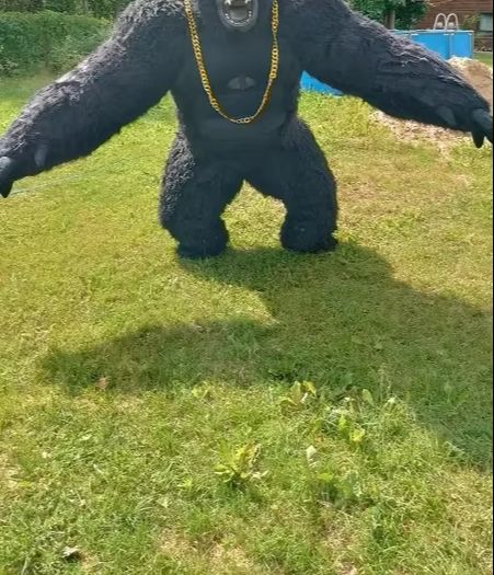 Real Life Inflatable Gorilla C - đánh giá và giá Anime Cosplay Real Life